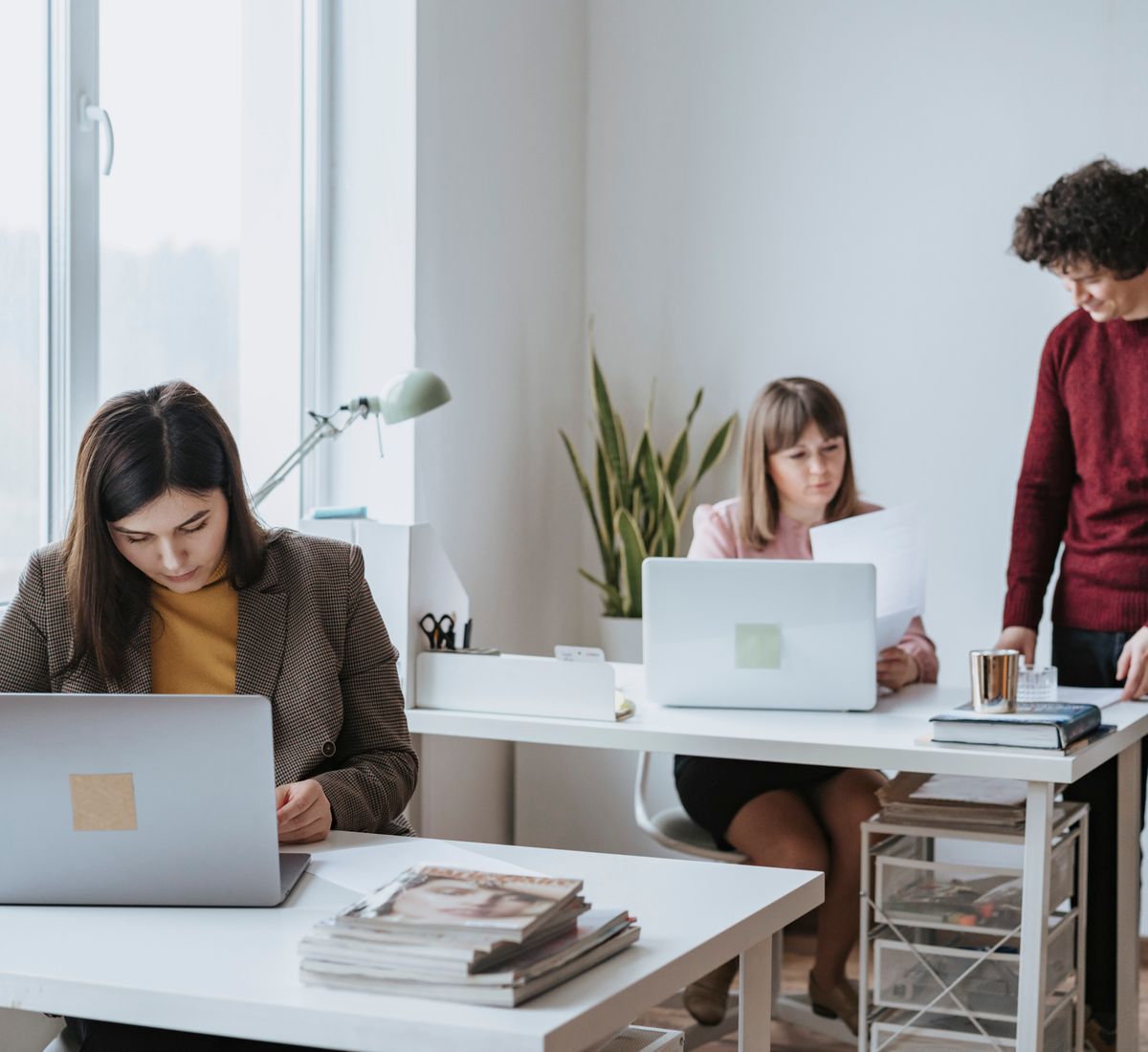 Colleagues working together in a bright modern office